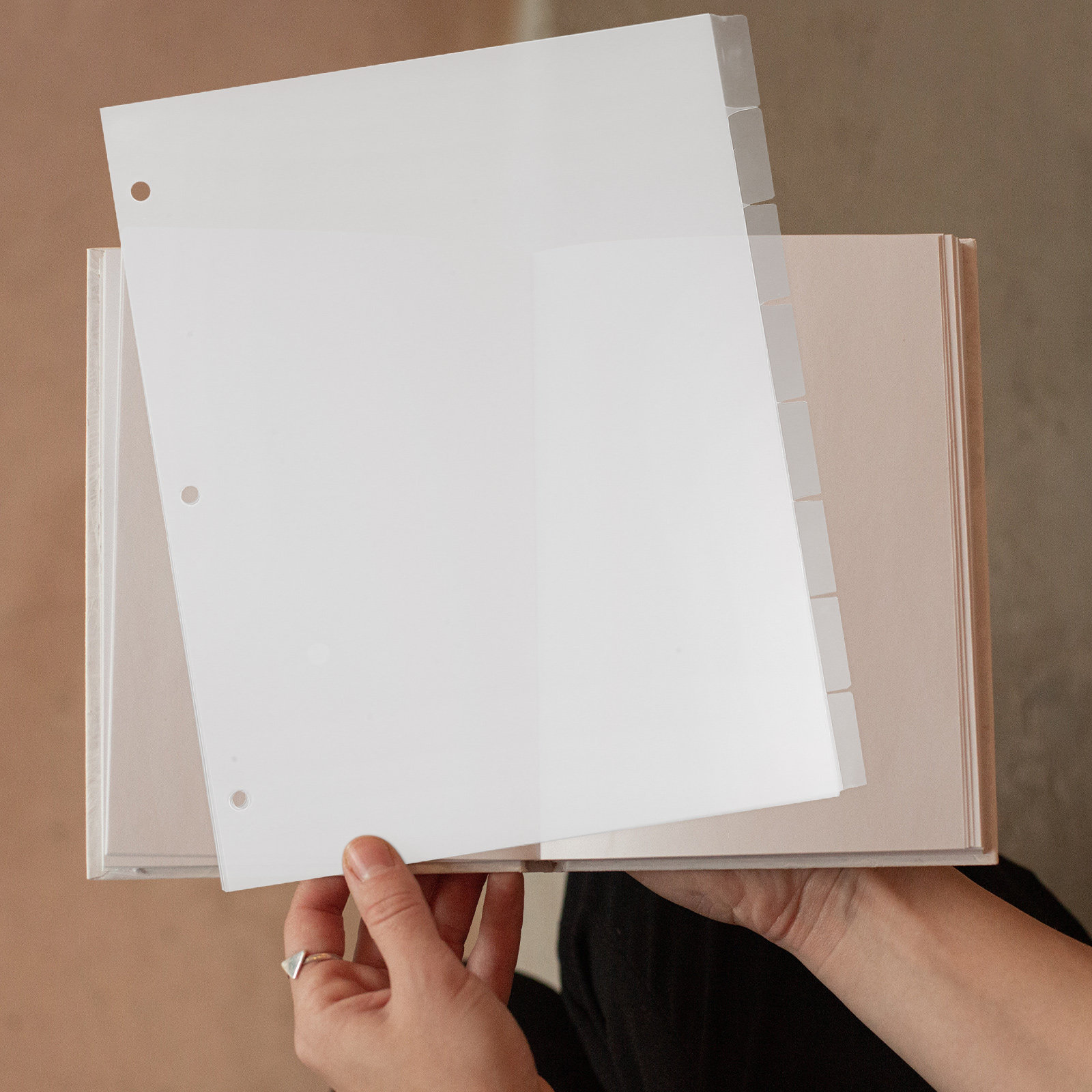 8Sheets Index Dividers Sturdy  - Index Tab Divider 评论和价格