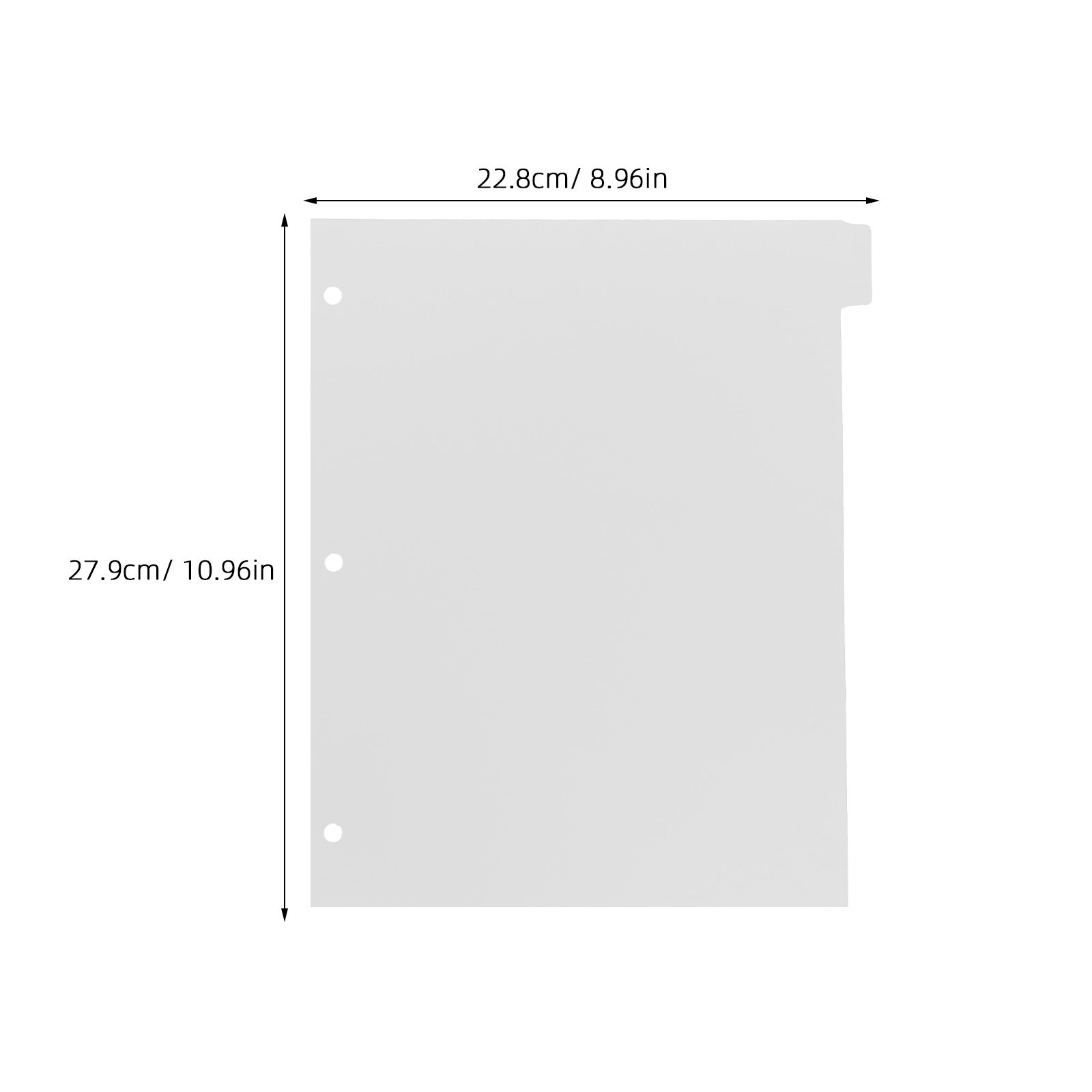 8Sheets Index Dividers Sturdy  - Index Tab Divider 评论和价格