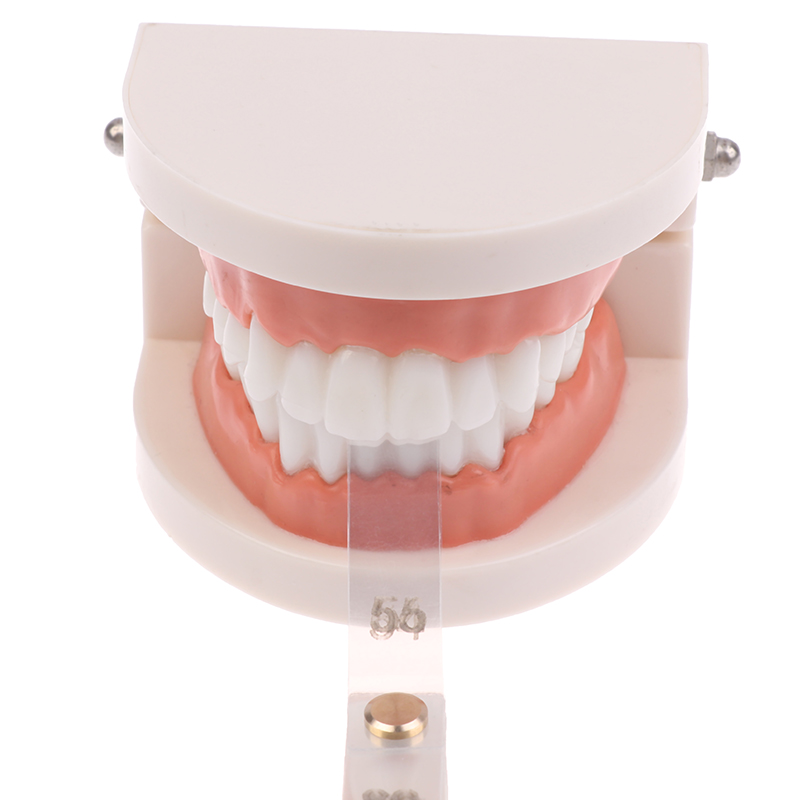/ACR/Dental Interproximal Redu - Ruler Set Transparent 评论和价格