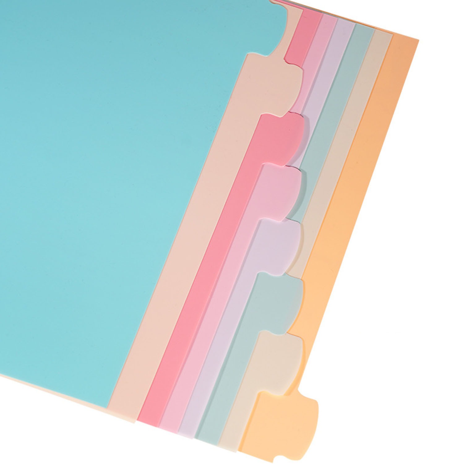 8 Tab Binder Dividers for 3 Ri - Index Tab Divider 评论和价格