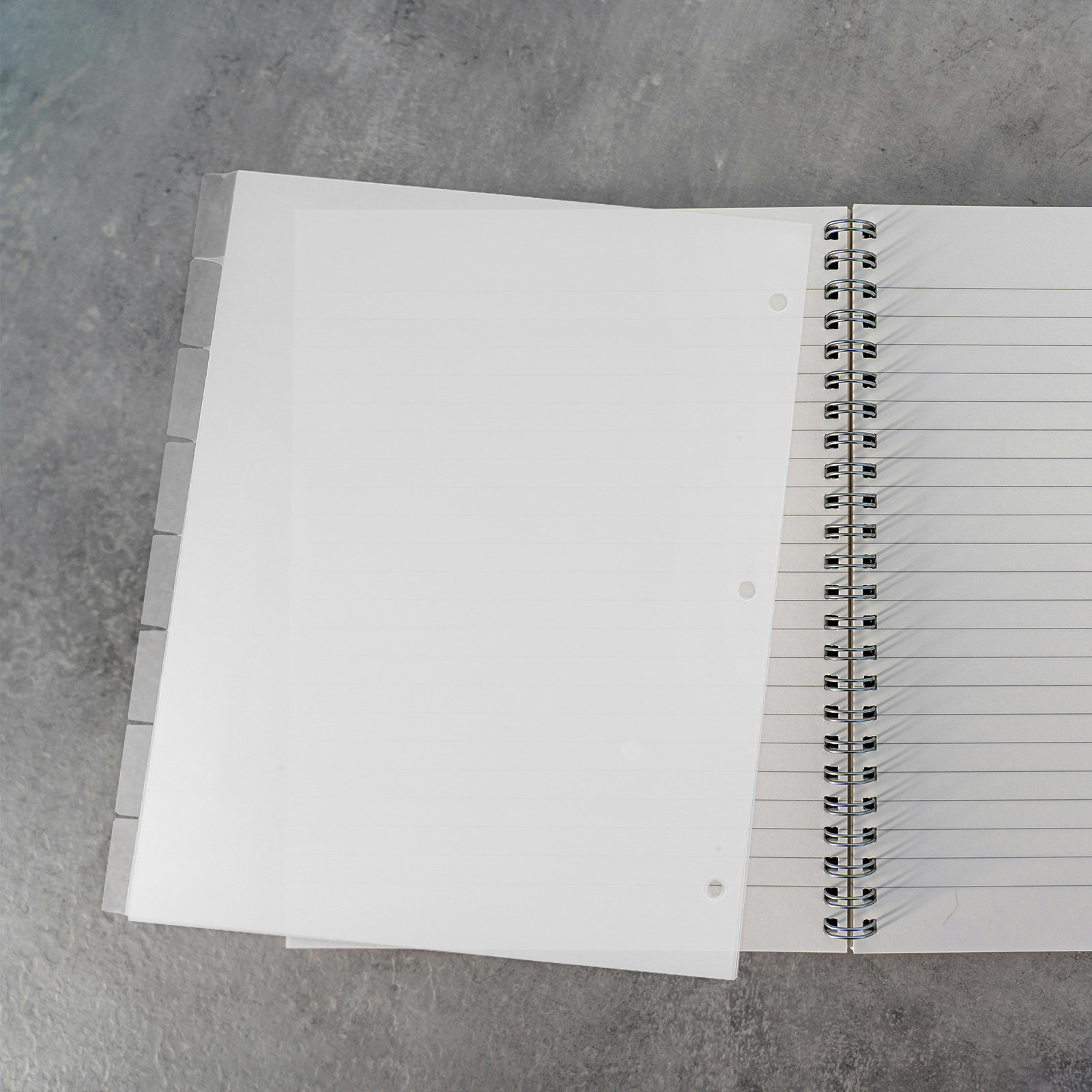 8Sheets Index Dividers Sturdy  - Index Tab Divider 评论和价格