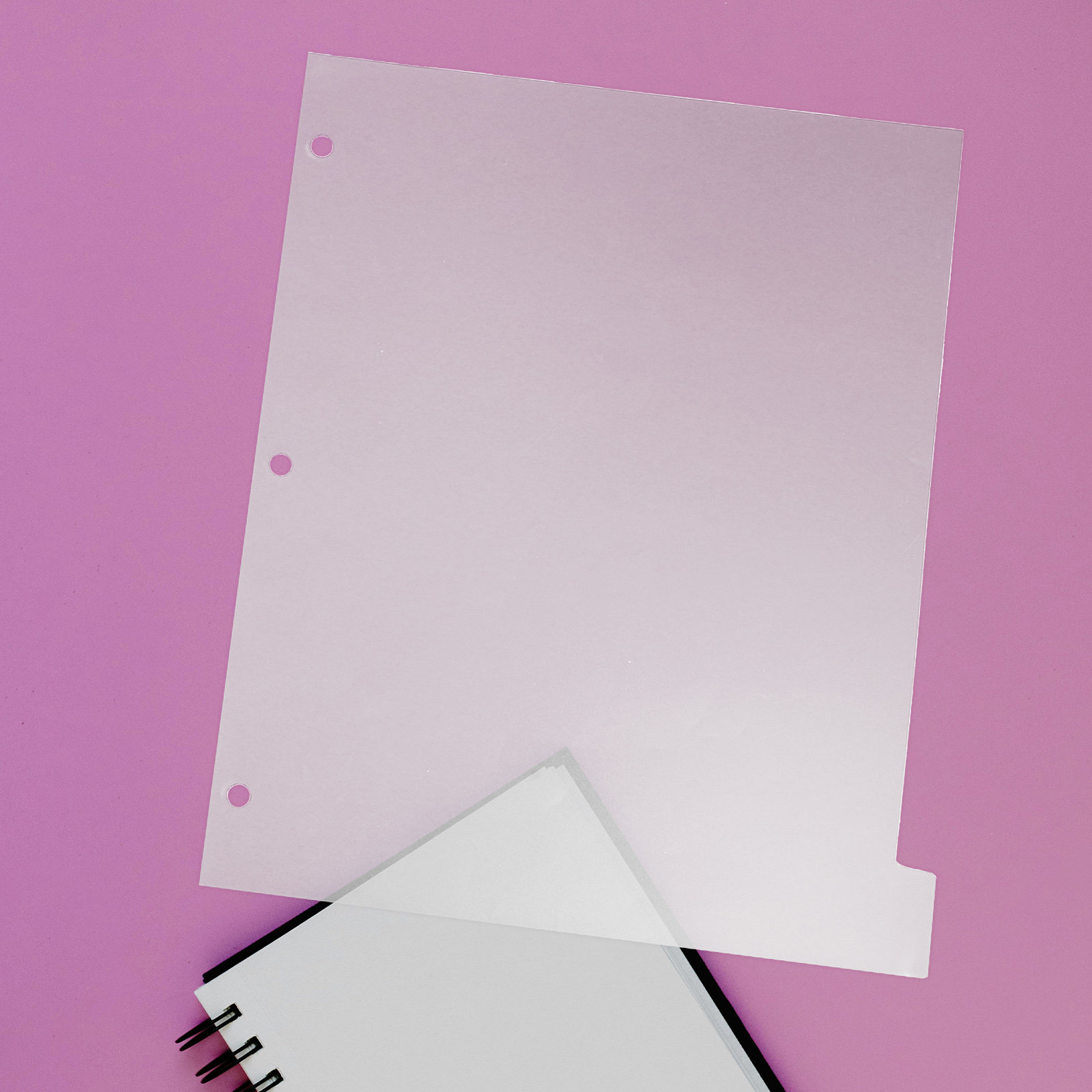 8Sheets Index Dividers Sturdy  - Index Tab Divider 评论和价格